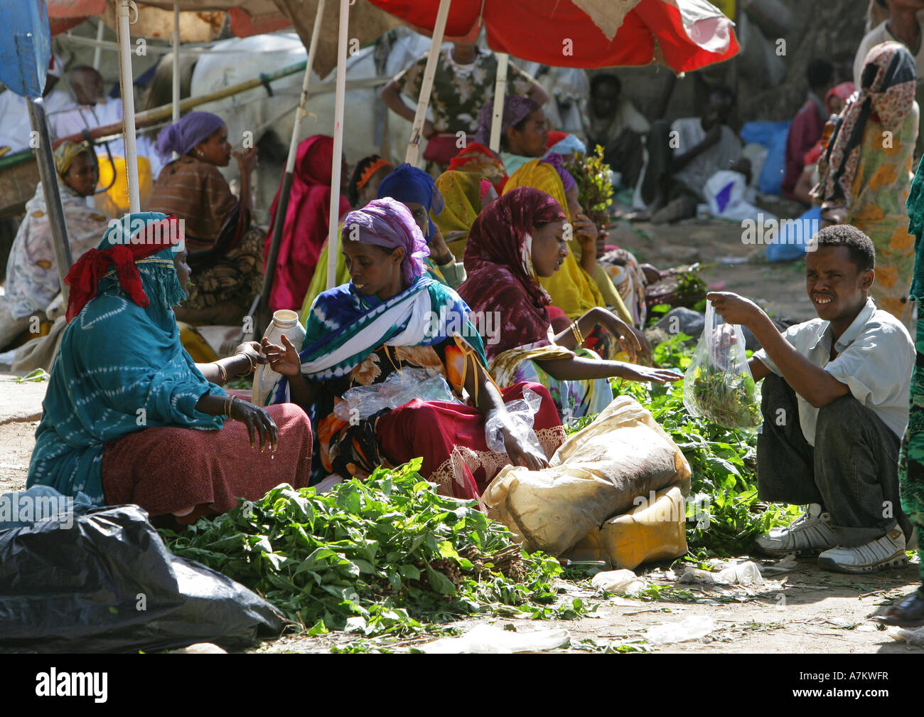 Ethiopia Women Selling Chat At The Chat Market In Dire Dawa Stock 