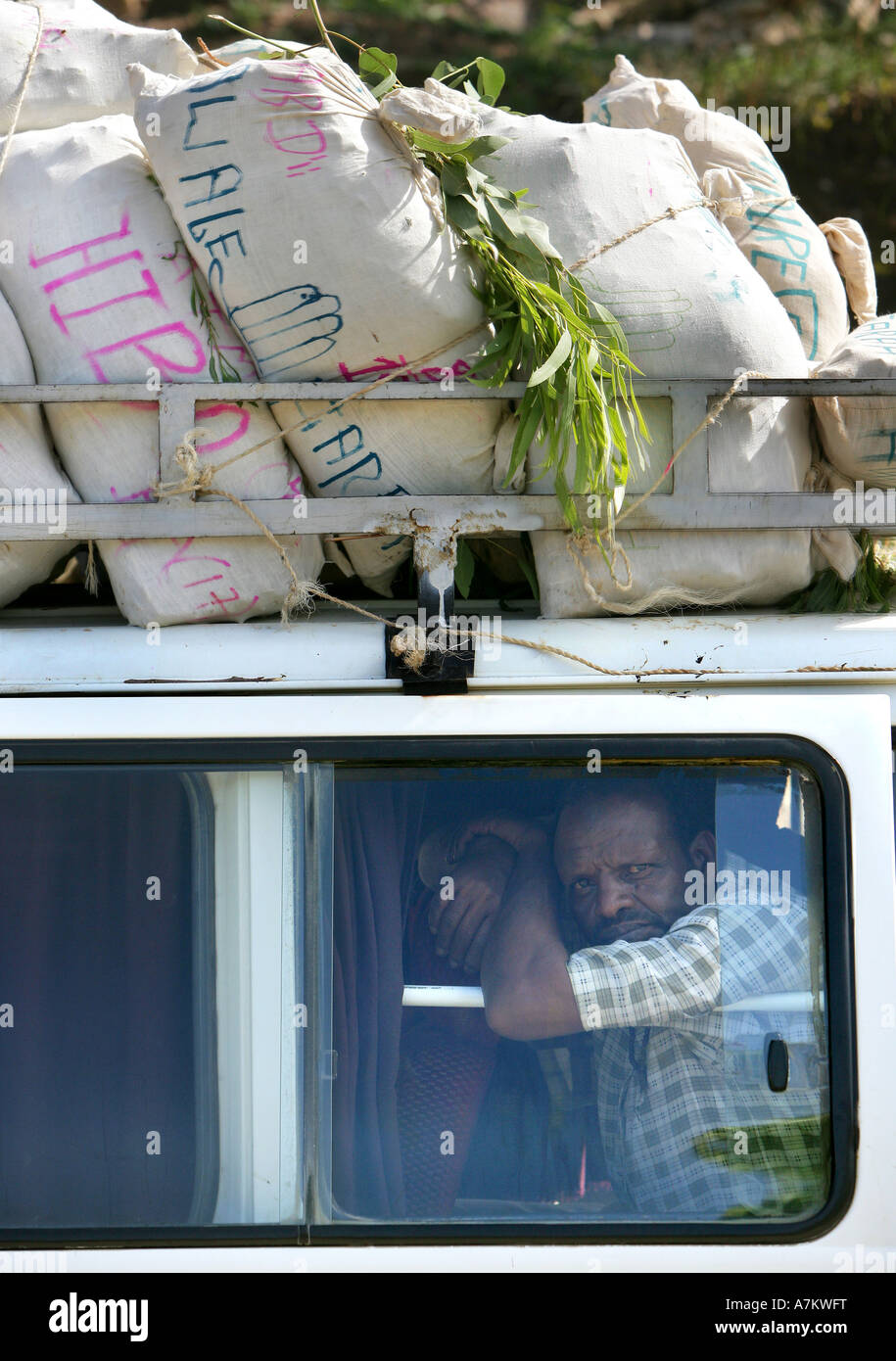 Ethiopia - Transportation of Chat to bring to the neighbouring foreign countries Stock Photo