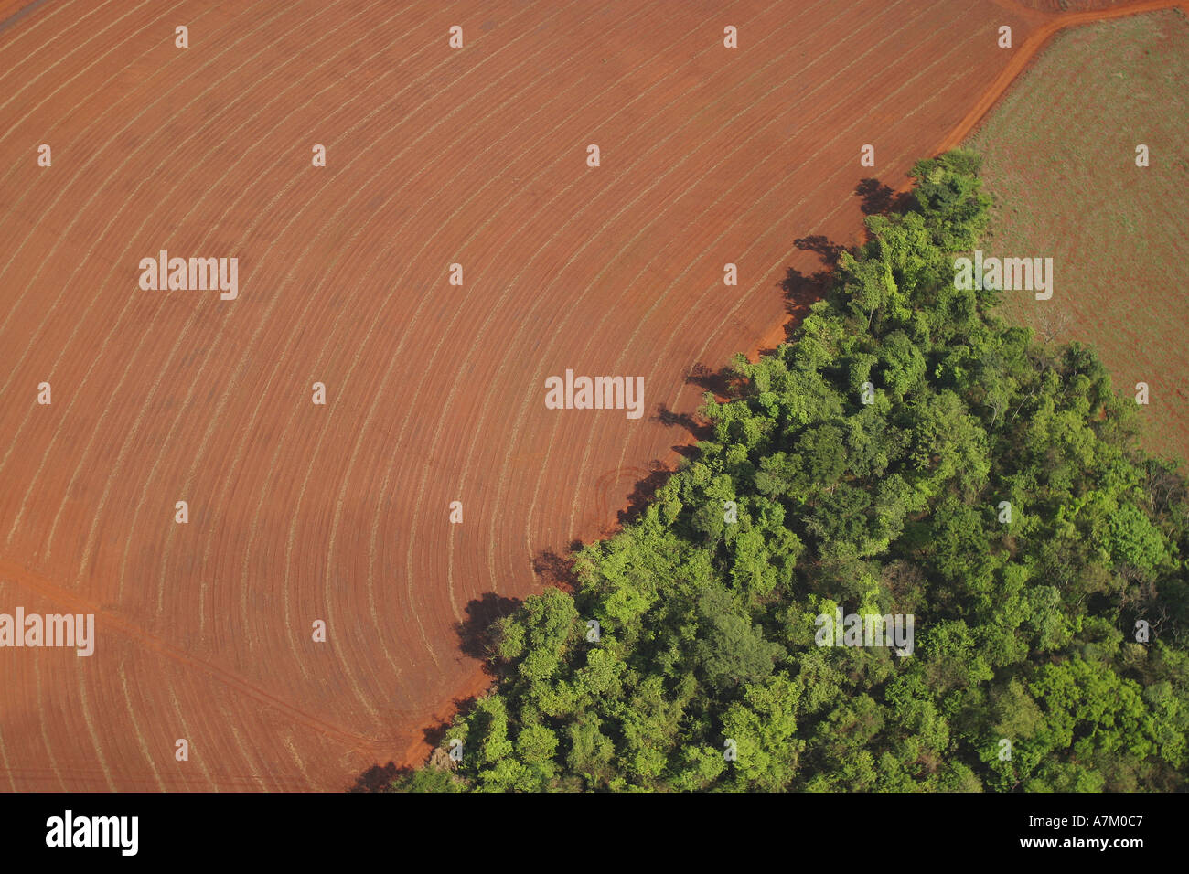 Leveled trees hi-res stock photography and images - Alamy