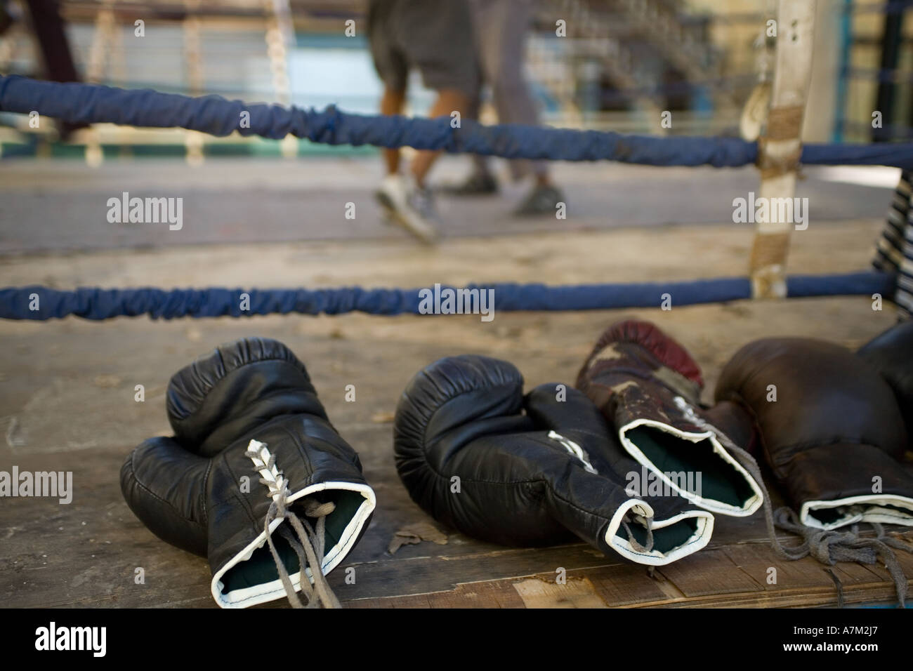 Boxing gloves and boys at an open air boxing academy in Havana Cuba