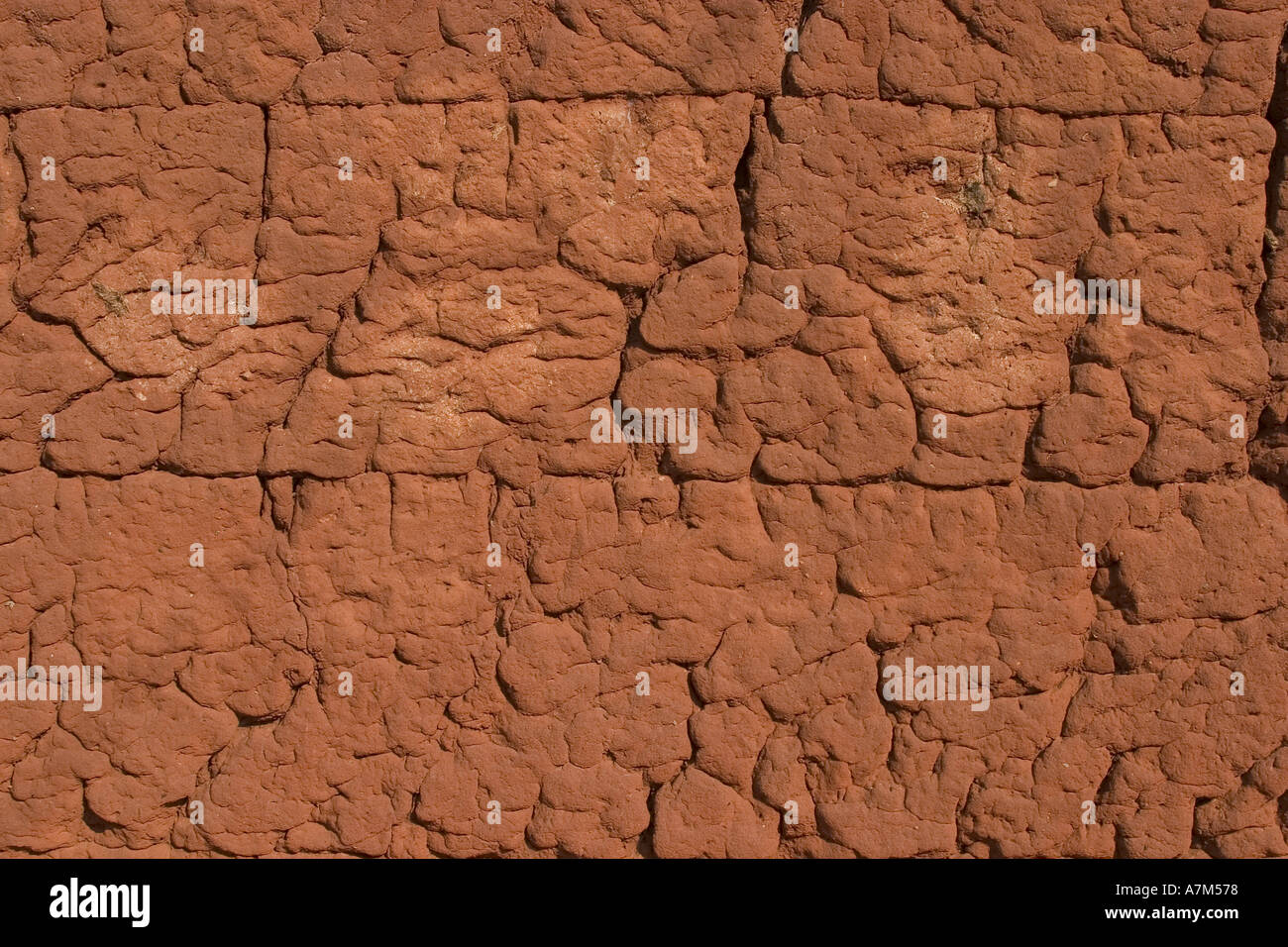 Bumpy appearance hi-res stock photography and images - Alamy