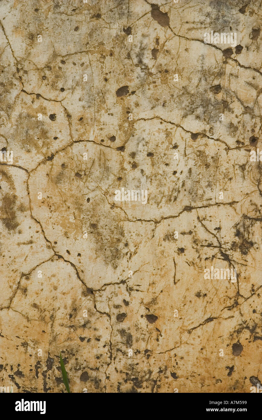 Bumpy appearance hi-res stock photography and images - Alamy