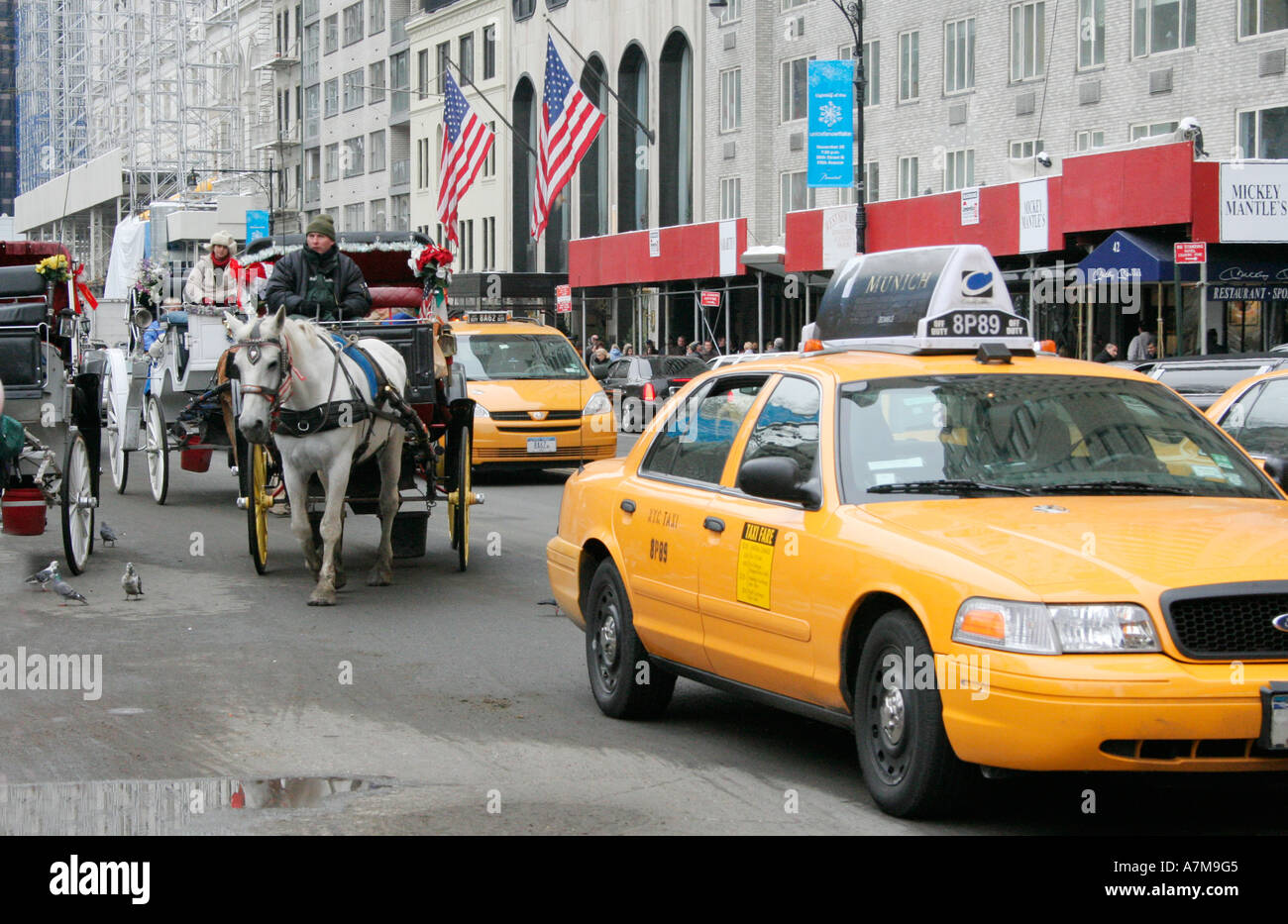 Horse and carriage.  Buggy. Yellow taxi cabs. New York city. USA. Winter. Stock Photo