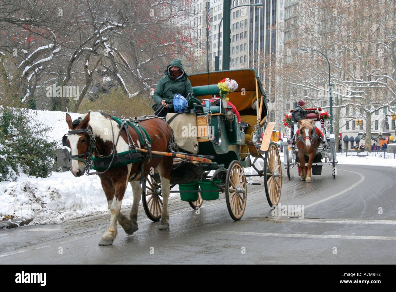 Horse and carriage. Driver wrapped up against the cold. Central Park. New York city. Winter  snow. USA. Stock Photo