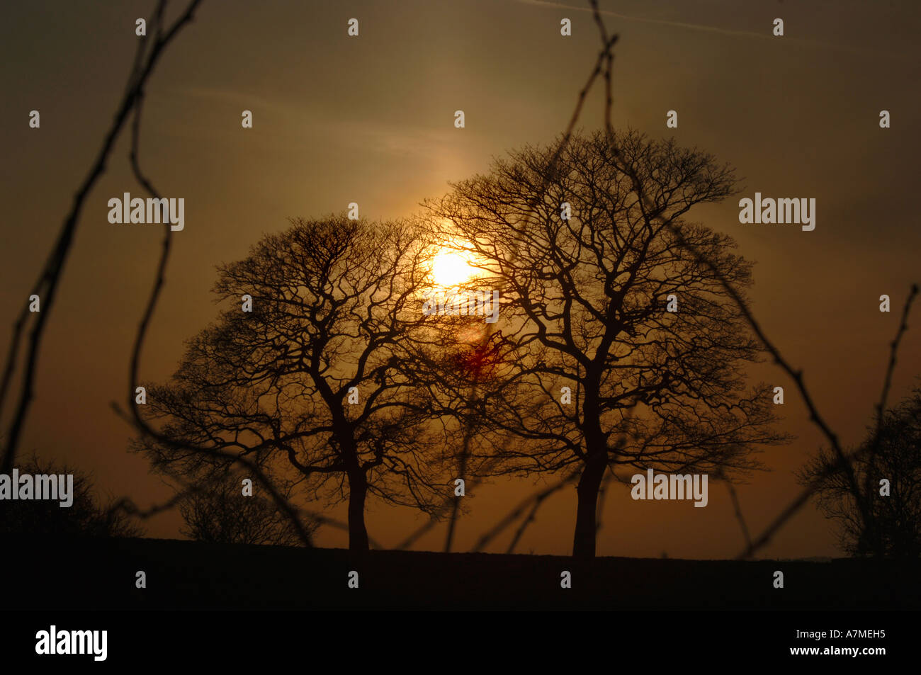 Sunset mild colors hi-res stock photography and images - Alamy