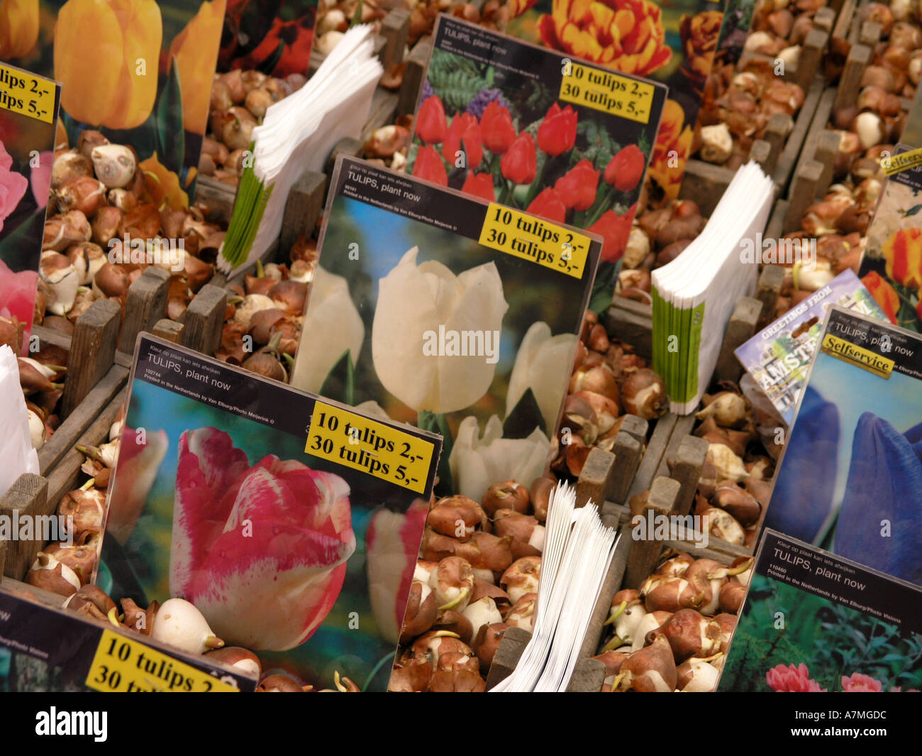 Shorna Bulb Packet Pollen packet hi-res stock photography and images - Alamy