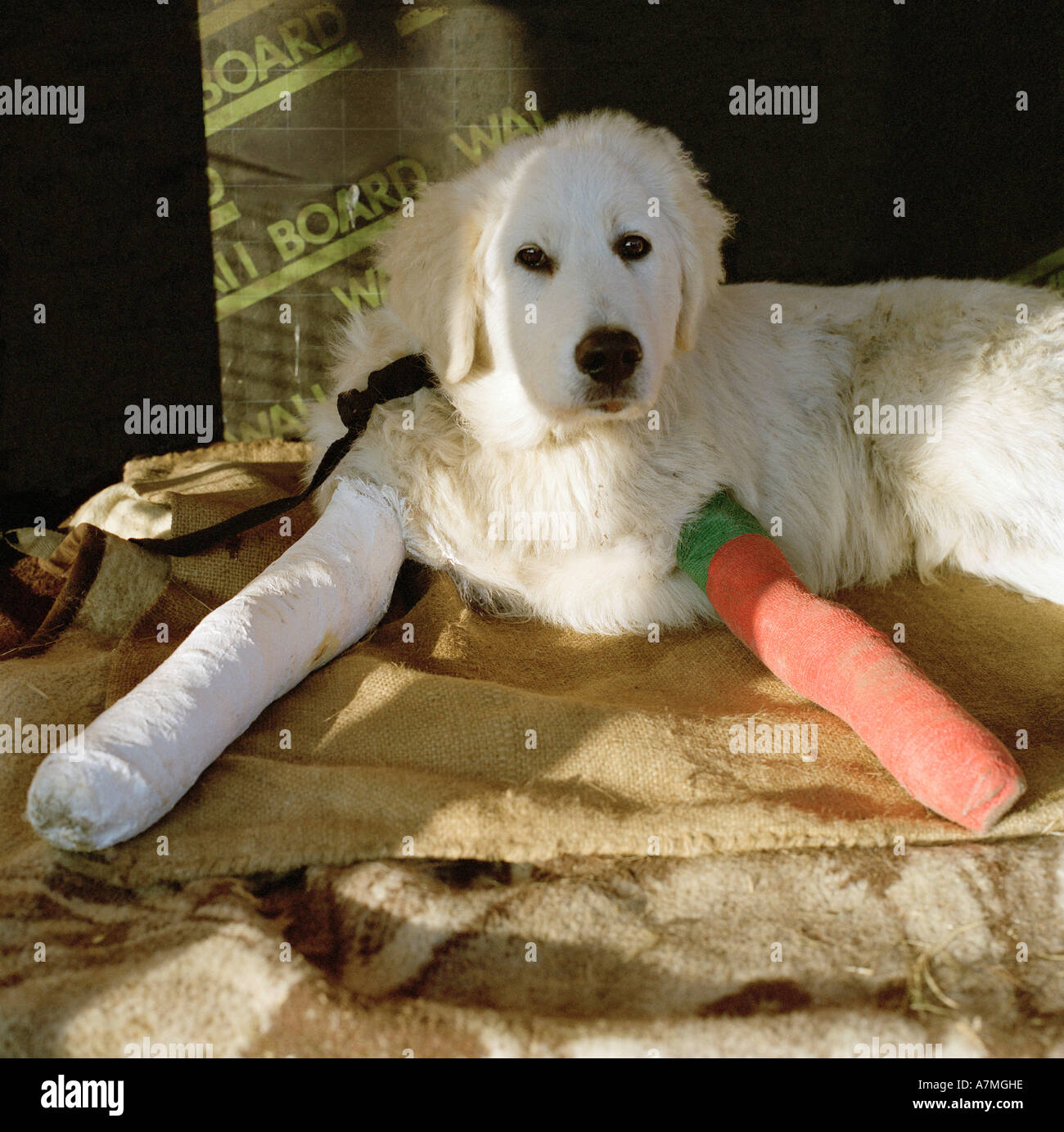 Two broken legs hires stock photography and images Alamy
