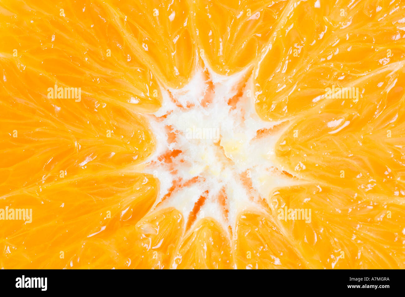 Close up of an orange Stock Photo