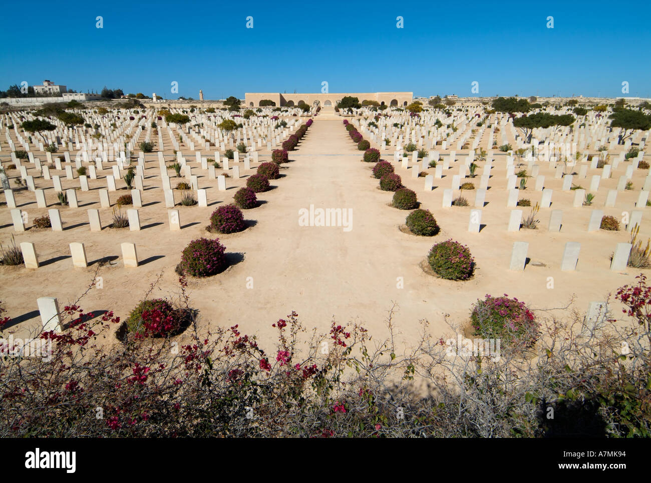 El Alamein (Al Alamein) war cemetery, El Alamein, Egypt El Alamein (Al Alamein) war cemetery, El Alamein, Egypt
