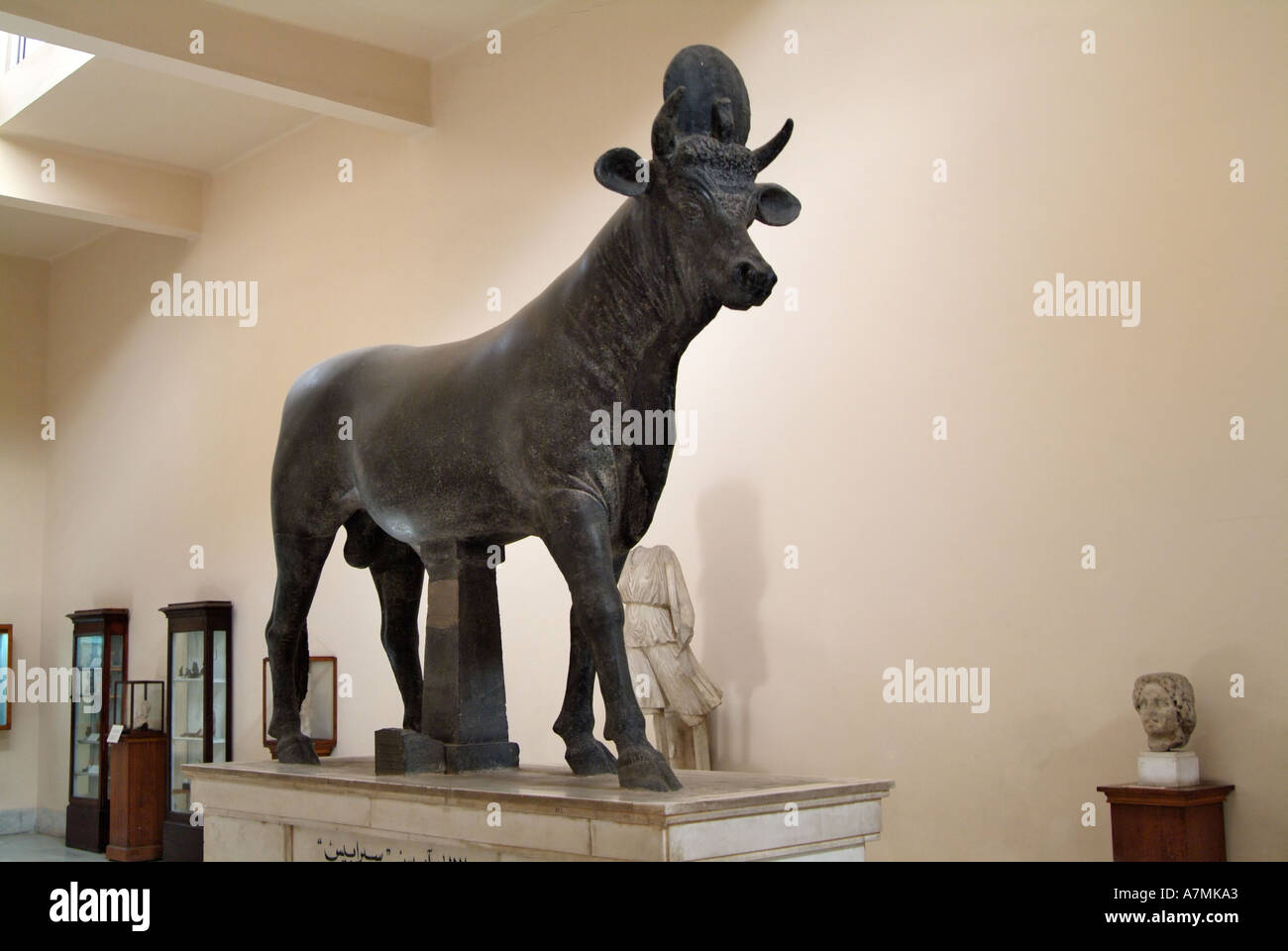 Statue of an Apis Bull, Greco-Roman Museum, Alexandria, Egypt Stock Photo