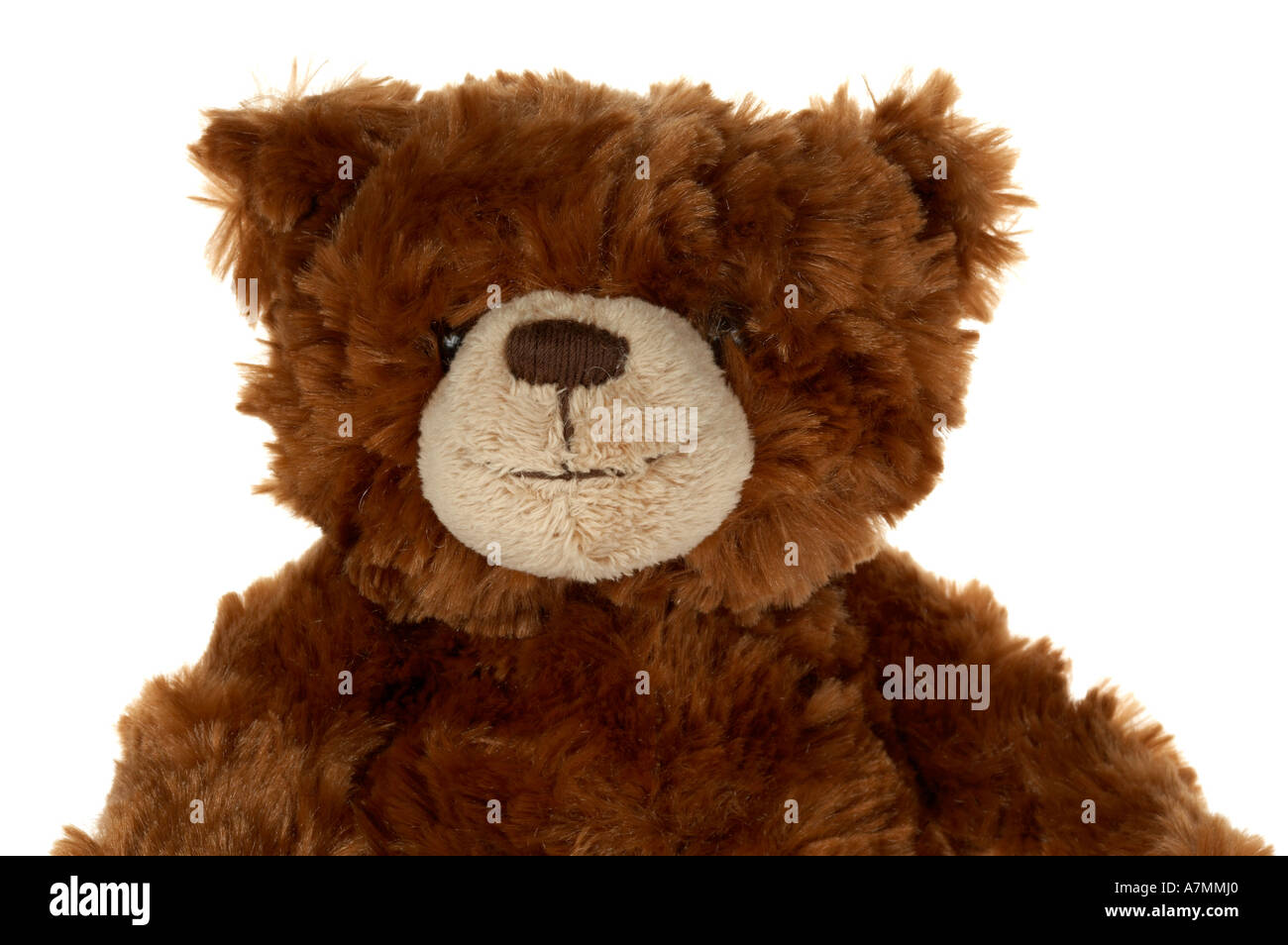 Brown teddy bear isolated on a white background Stock Photo - Alamy