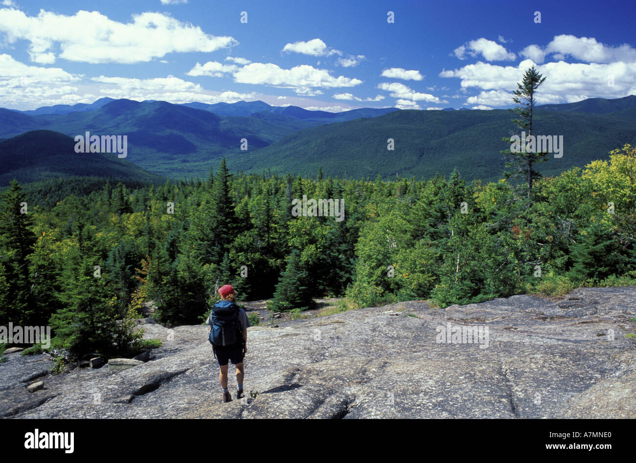 Mr crawford hires stock photography and images Alamy