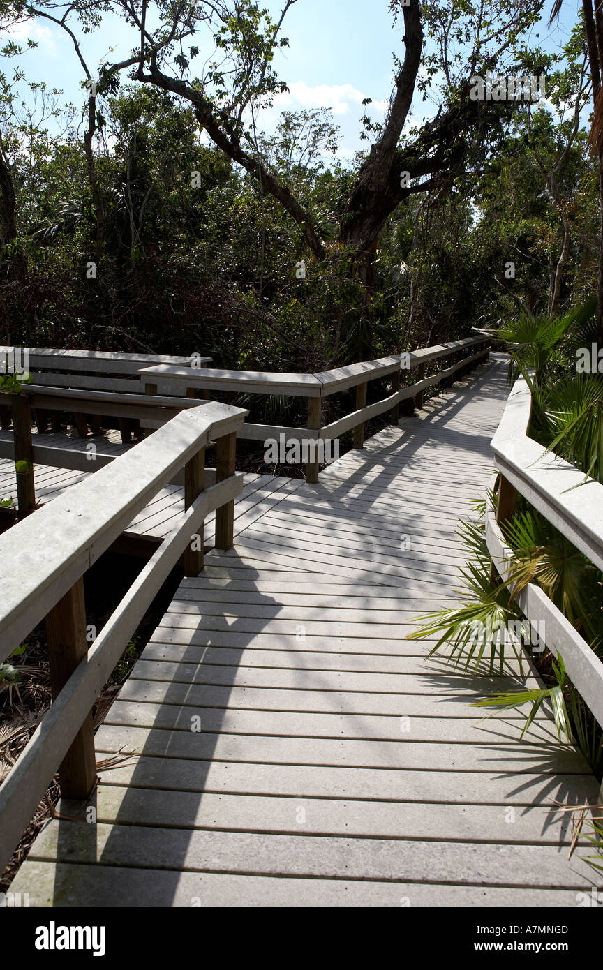 Walkways within mahogany hammock everglades state national park florida united states usa Stock Photo