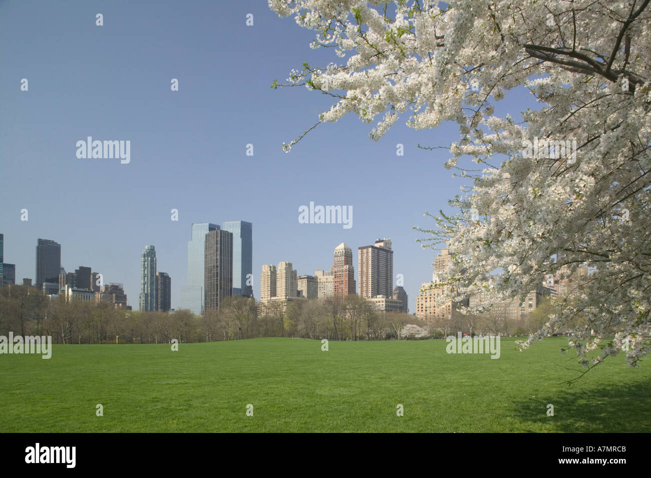 Central park new york spring buildings hi-res stock photography and ...