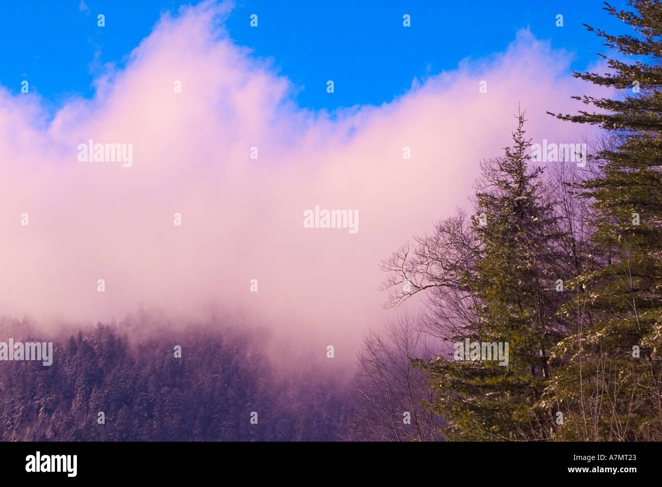 Clouds rolling over mountain peak at sunset, near Newfound Gap, Great Smoky Mountains National Park, North Carolina. Stock Photo