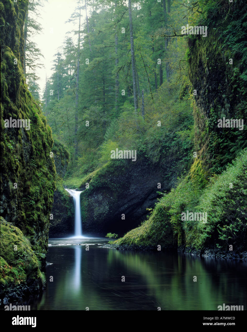 Punch Bowl Falls, Eagle Creek, Columbia River Scenic Area, Oregon