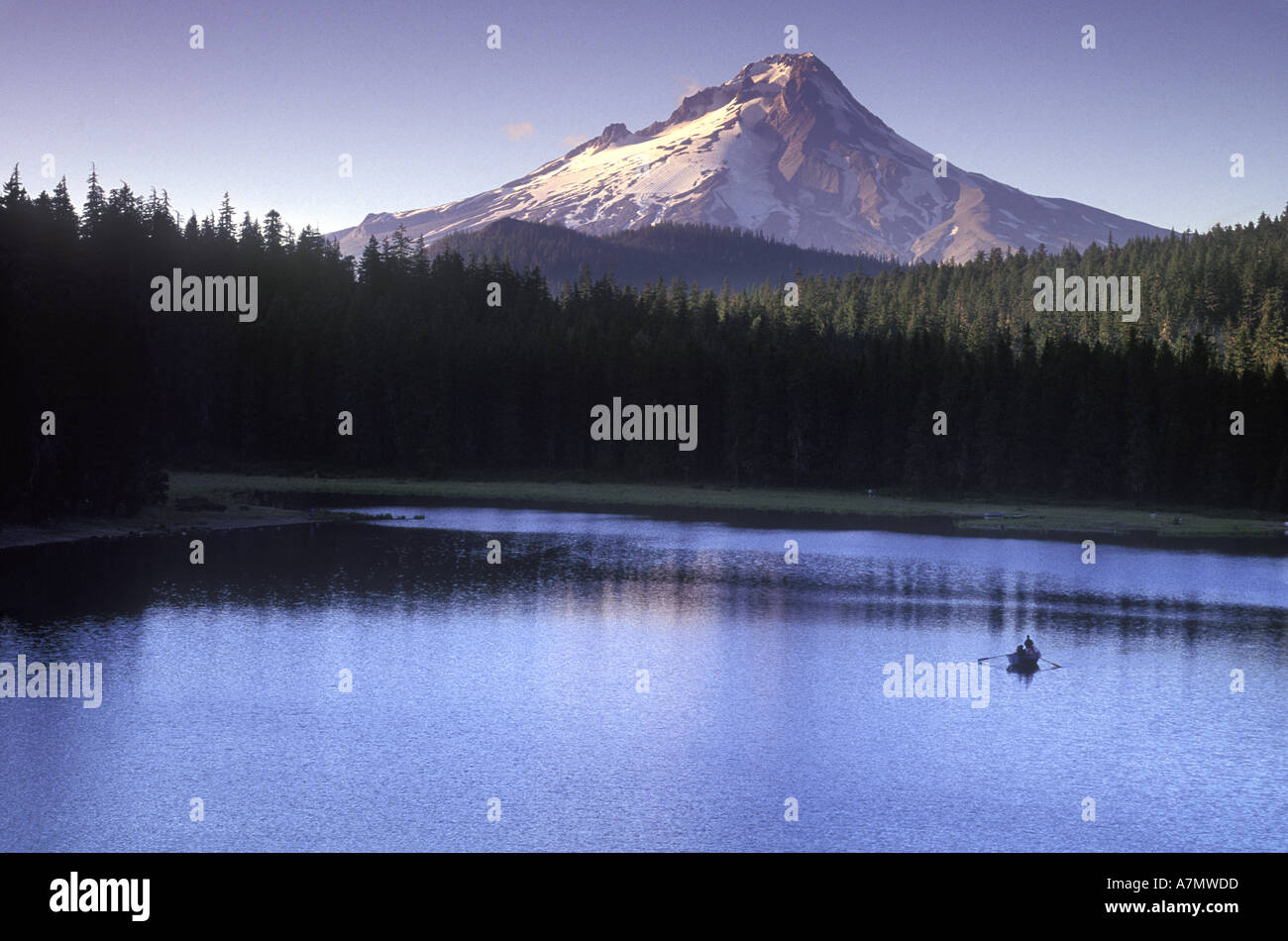 Fishing from boat on Frog Lake, Mt. Hood, Oregon at sunset (MR Stock