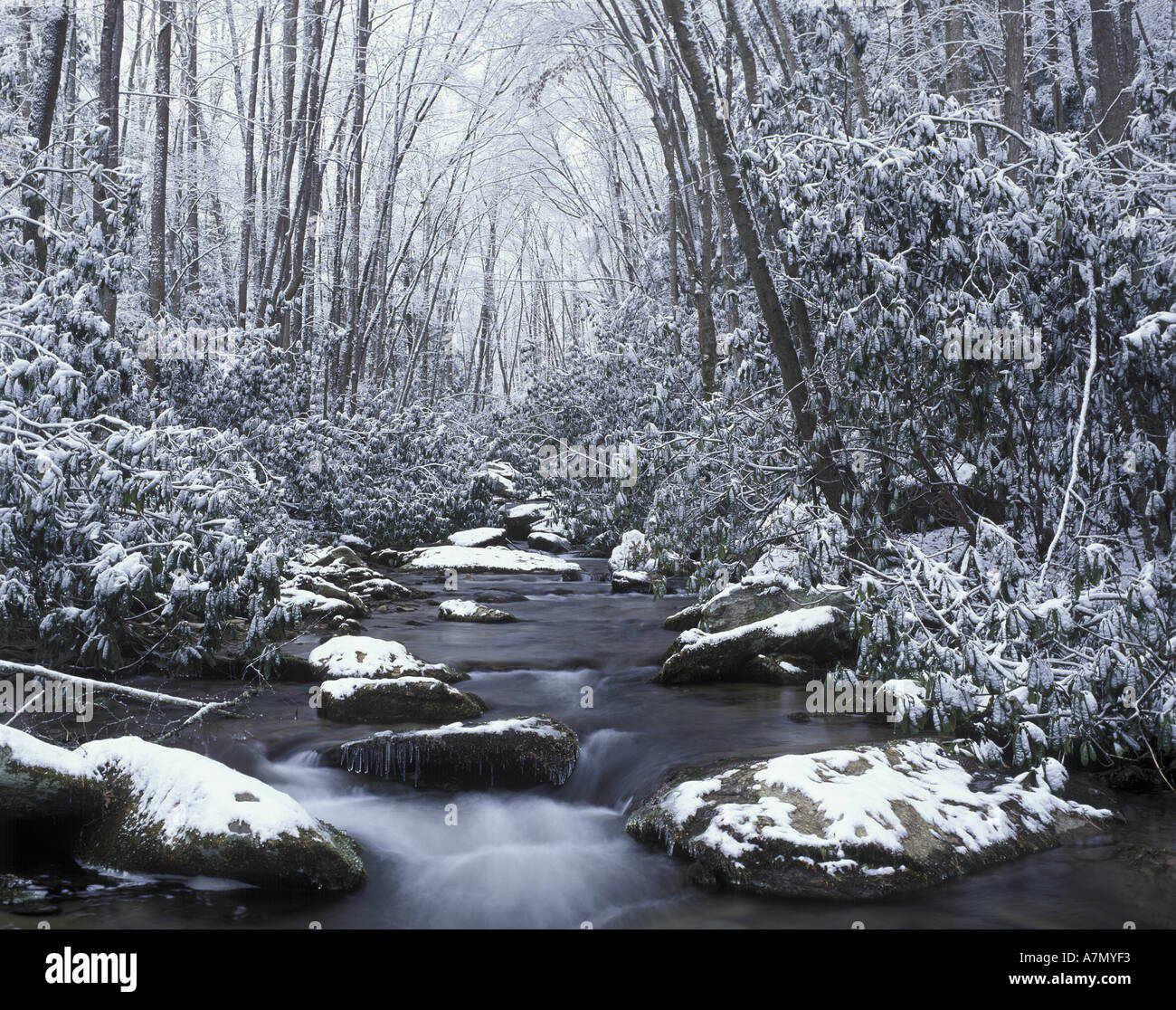 Great Smokey Mountains Winter Stock Photos Great Smokey