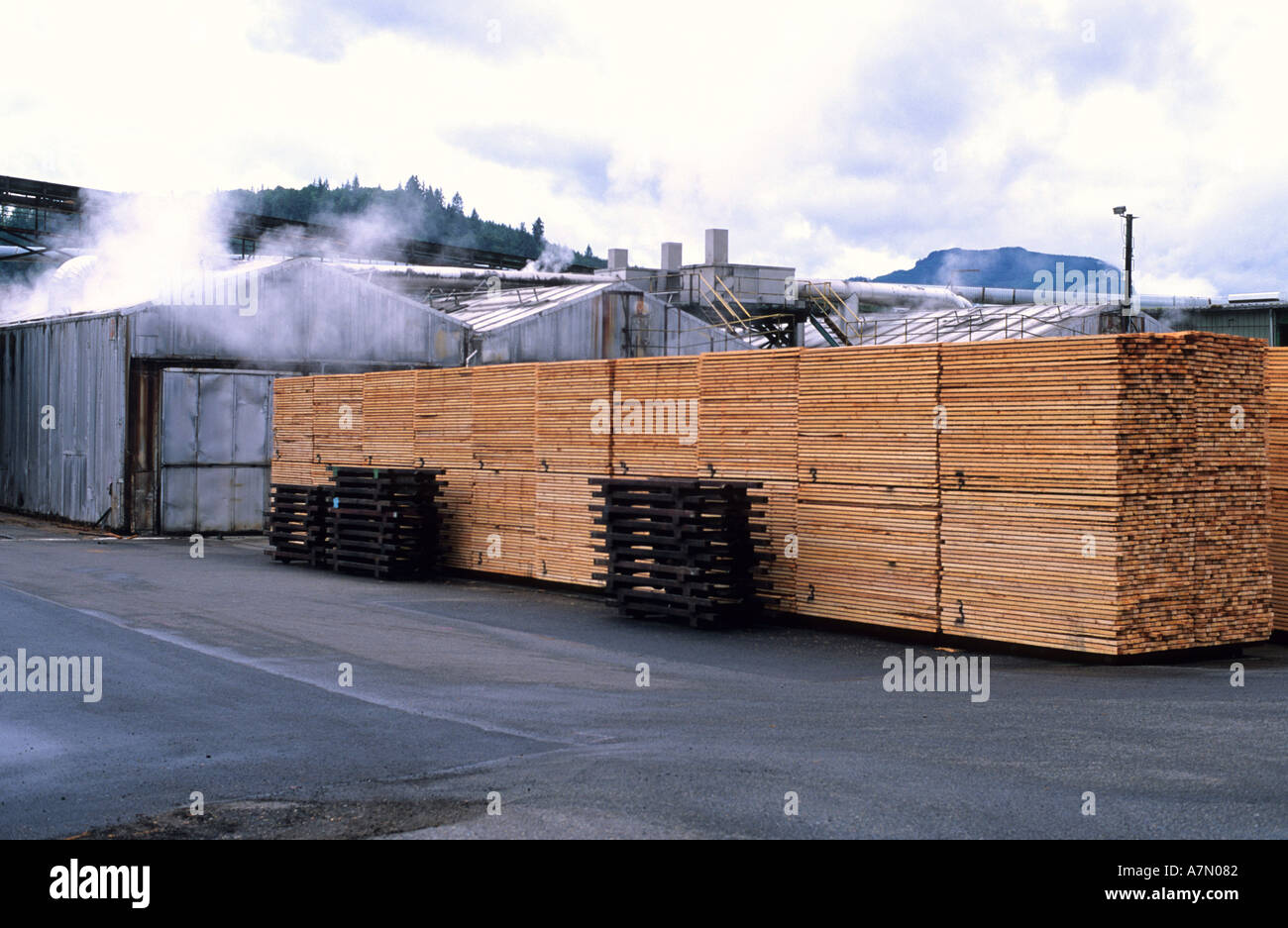 Kiln drying lumber hires stock photography and images Alamy