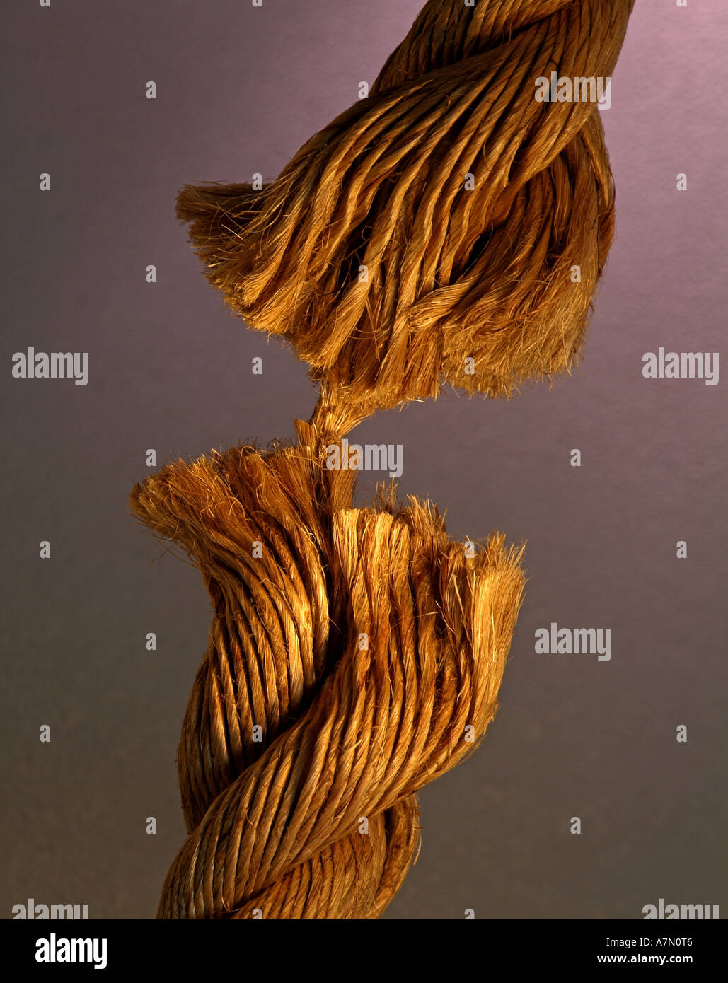 Hanging by a thread Stock Photo Alamy