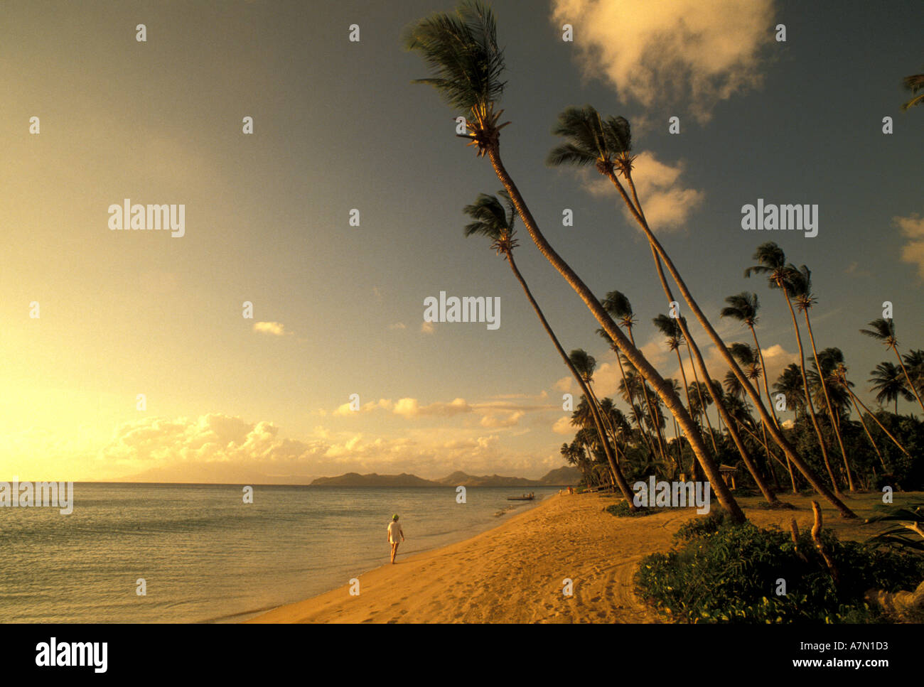 Tropical sunset beach palm hi-res stock photography and images - Alamy