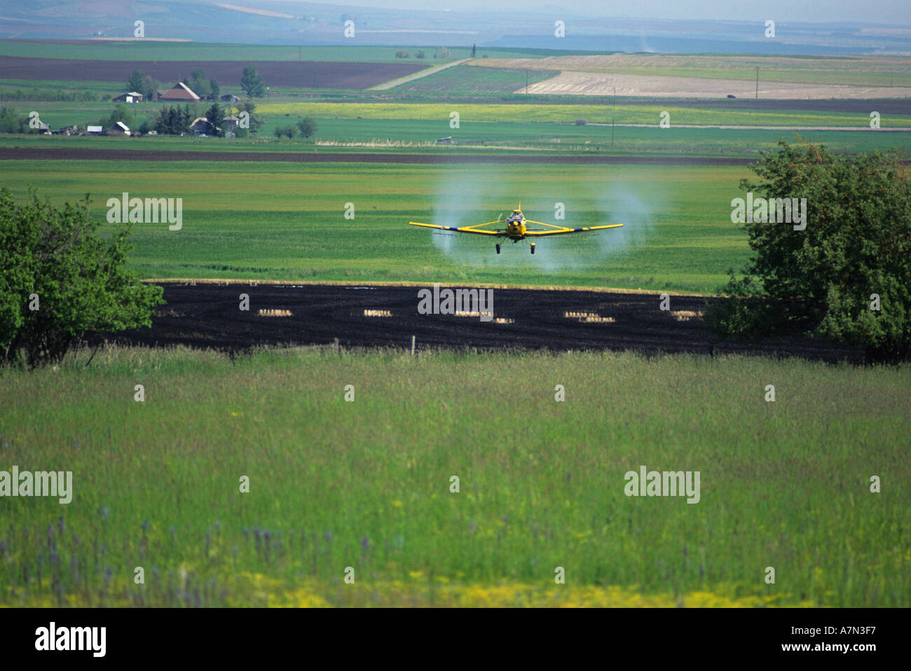 Cropduster spraying a field near Grangeville Idaho  Stock Photo