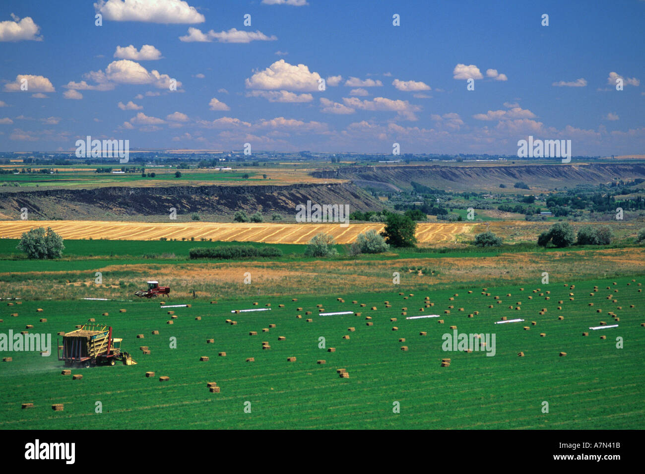 Hay harvest near Twin Falls Idaho Stock Photo Alamy