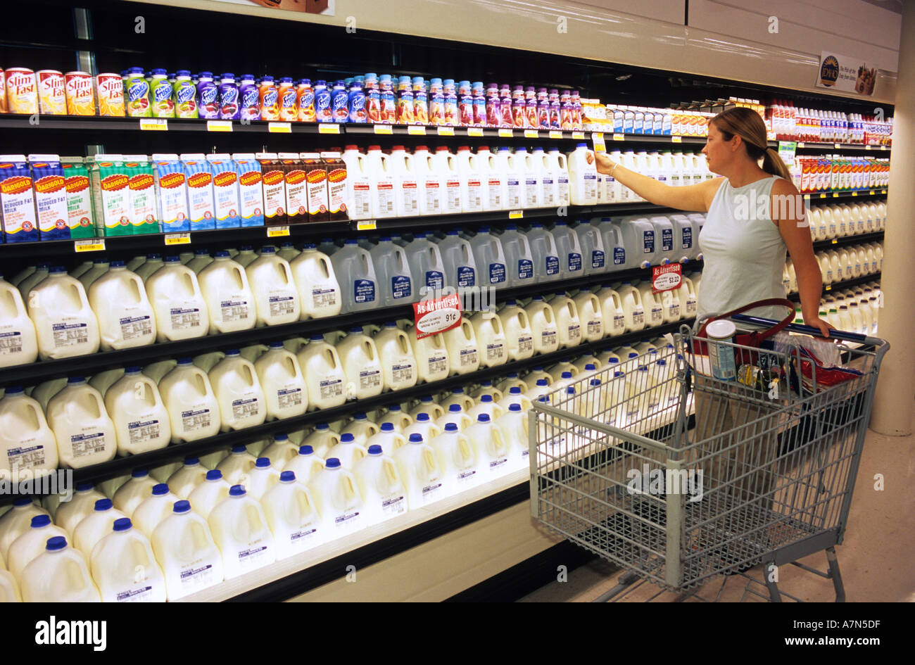 Woman shopping for milk in a grocery store Stock Photo Alamy