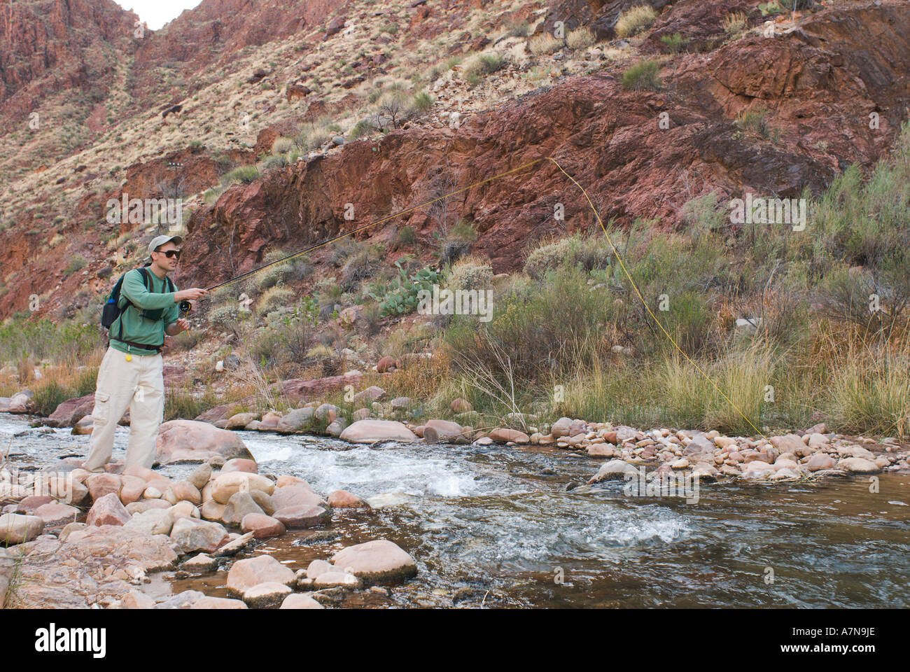 A man is fly fishing at Bright Angel Creek at Phantom Ranch at the bottom of the Grand Canyon Stock Photo