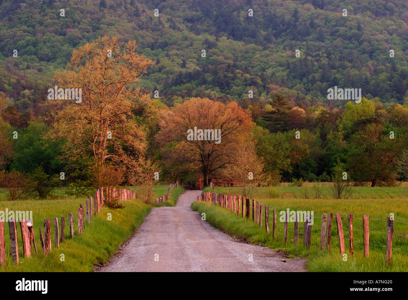 Sparks Lane, Cades Cove, Great Smoky Mountains N.P. TN Stock Photo - Alamy