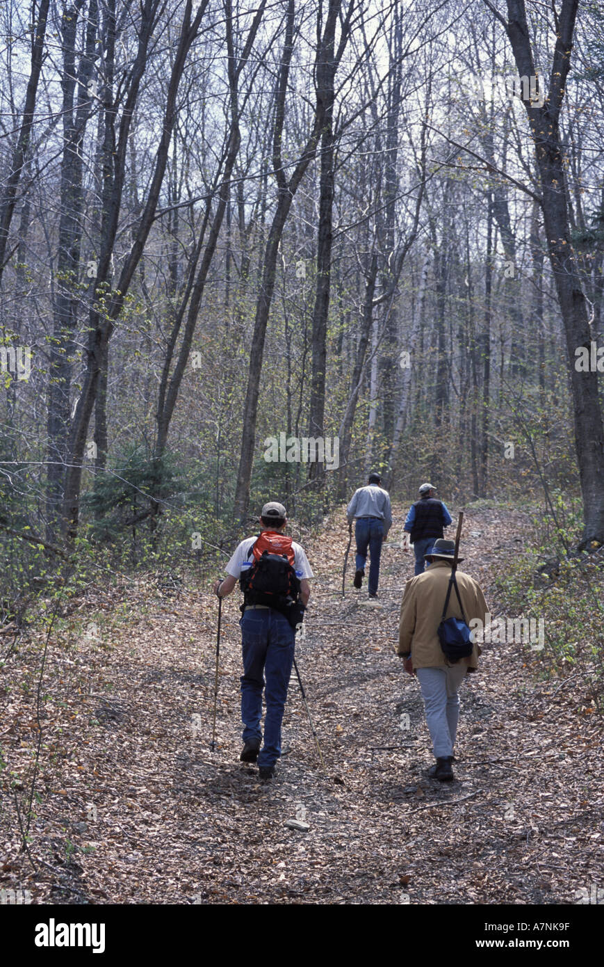 Exploring an old town road in the Green Mountains in southern Vermont