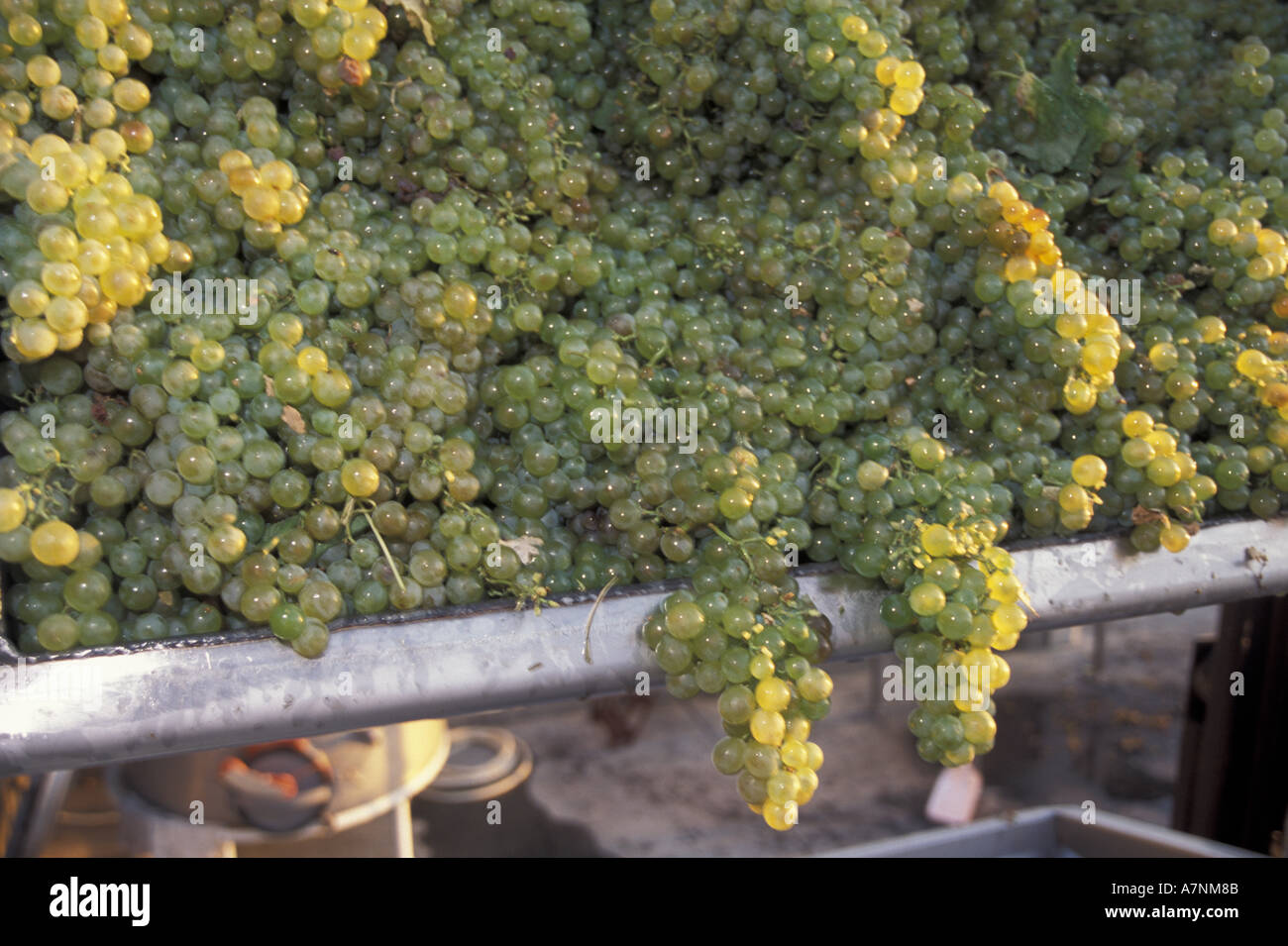 North America, USA, Washington, Lowden, L'Ecole No. 41 Winery