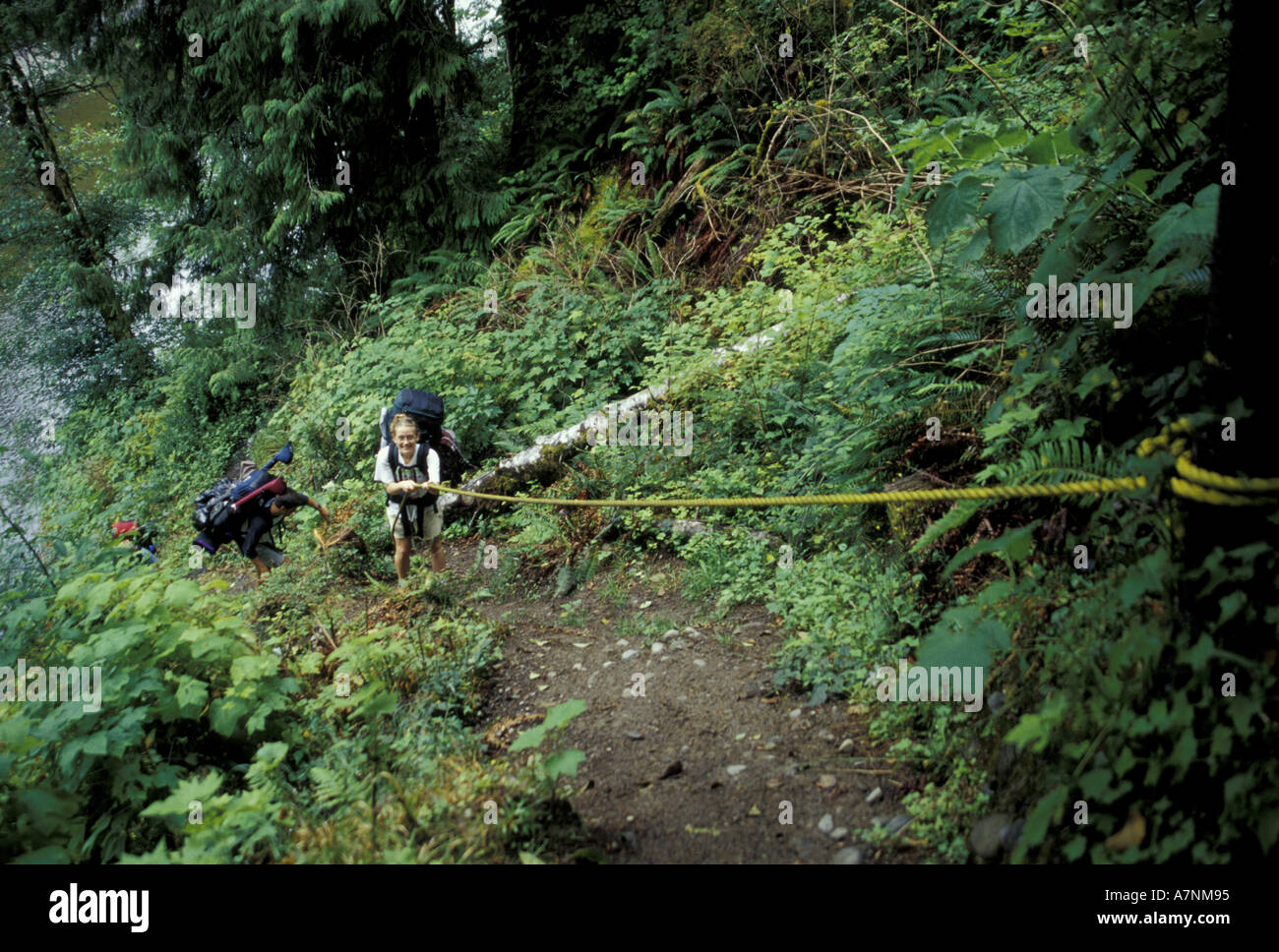USA, Washington, Olympic NP, Bogachiel River Trail. Hiker uses assist ...