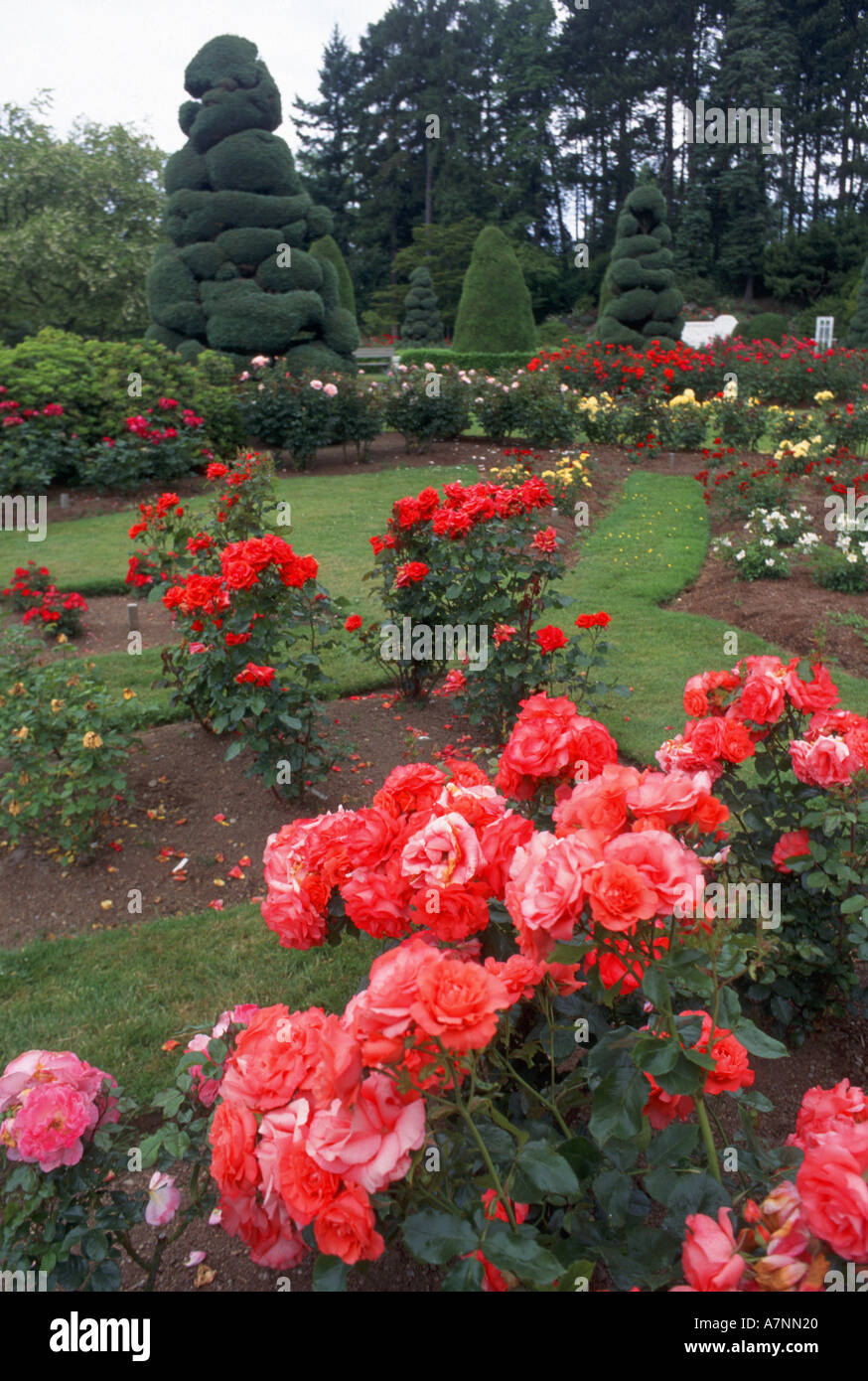 U S A Washington Seattle Rose Garden Outside Woodland Park Zoo