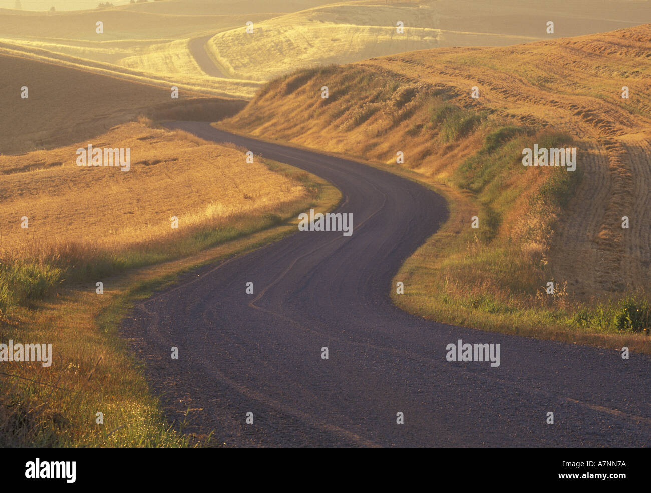 Gravel road through farm fields hires stock photography and images Alamy
