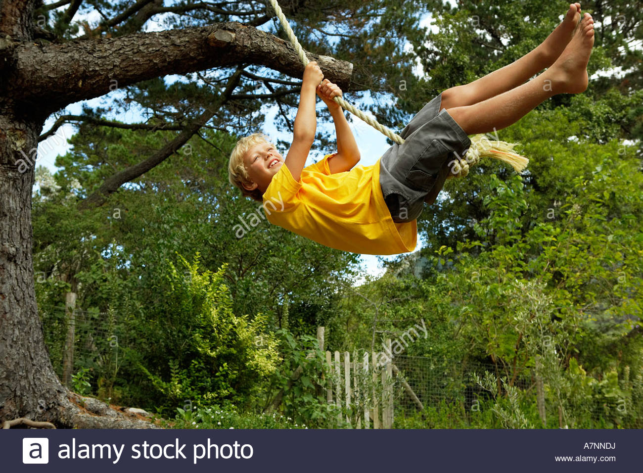 Boy 7 9 swinging on rope swing hanging from tree in garden smiling