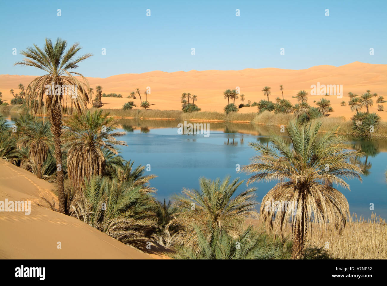 Umm al-Maa Lake (Ubari Lakes), oasis in the Idehan Ubari sand sea, Sahara Desert, Libya Stock Photo