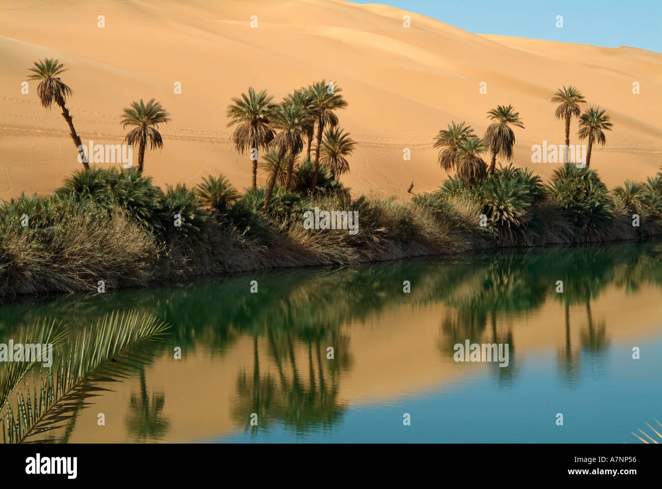Umm al-Maa Lake (Ubari Lakes), oasis in the Idehan Ubari sand sea, Sahara Desert, Libya Stock Photo
