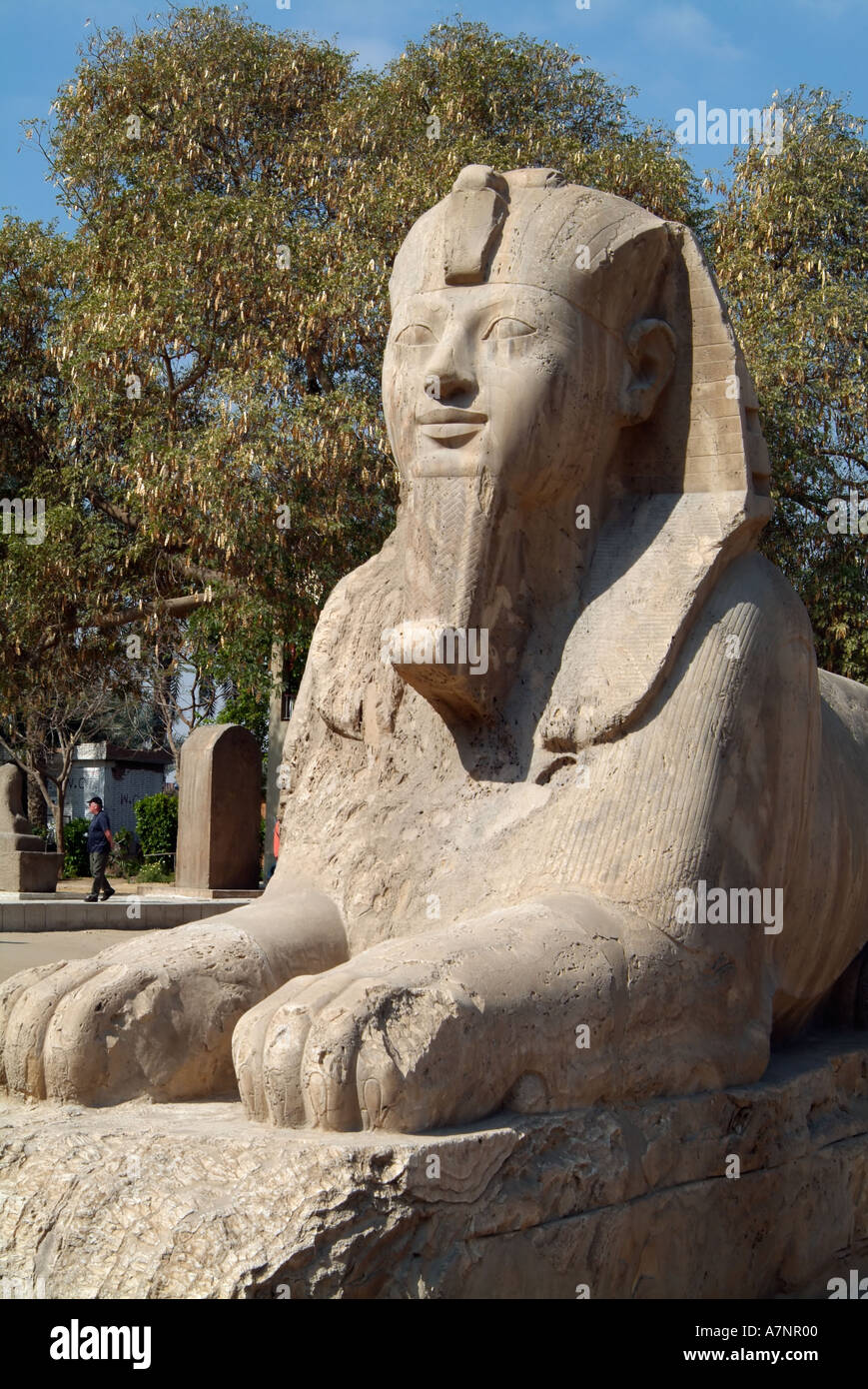 Alabaster statue of the Sphinx, Memphis, Egypt Stock Photo Alamy