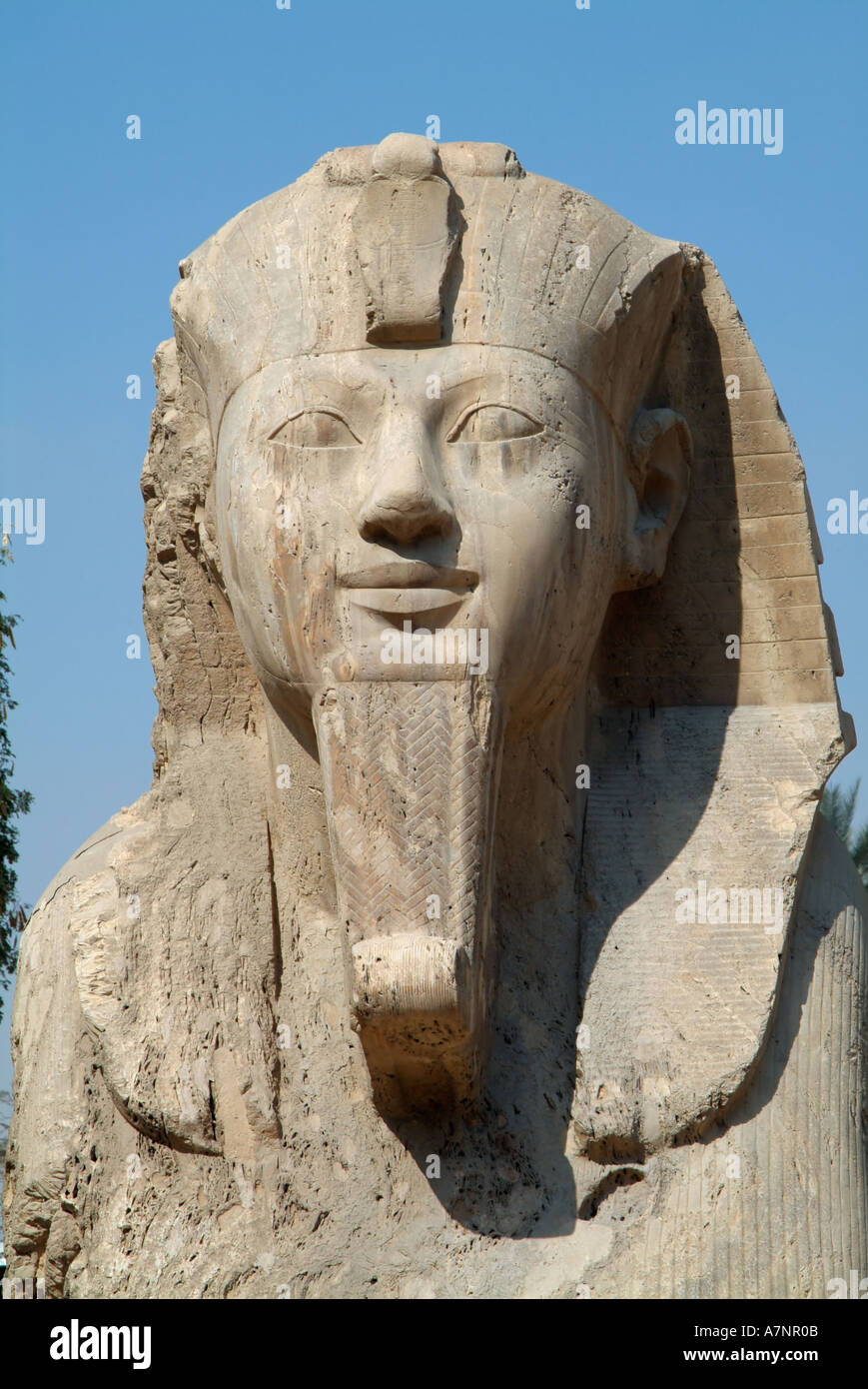 Alabaster statue of the Sphinx, Memphis, Egypt Stock Photo Alamy