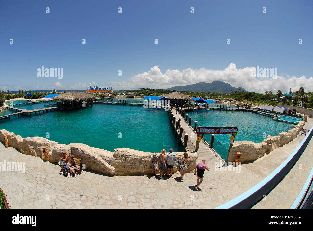 Snorkel Coral Reef Pool Ocean World Interactive Marine Park Puerto ...