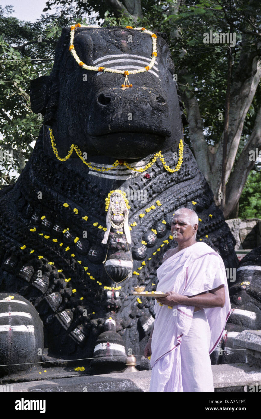 priest and Nandi at Camundeshvari Temple, India, Karnataka, Mysore Stock Photo