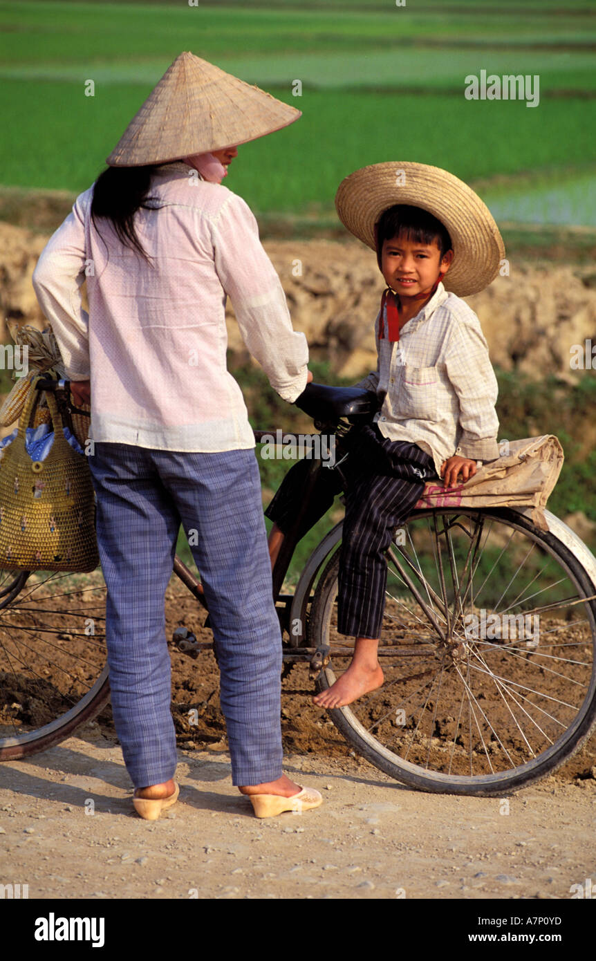 Vietnam, province of Hanoi, peasants in rice fields Stock Photo Alamy