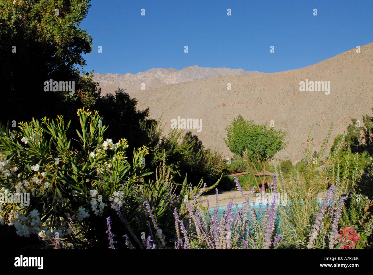 View from the town of Pisco Elqui Valley del qui Chile Stock Photo