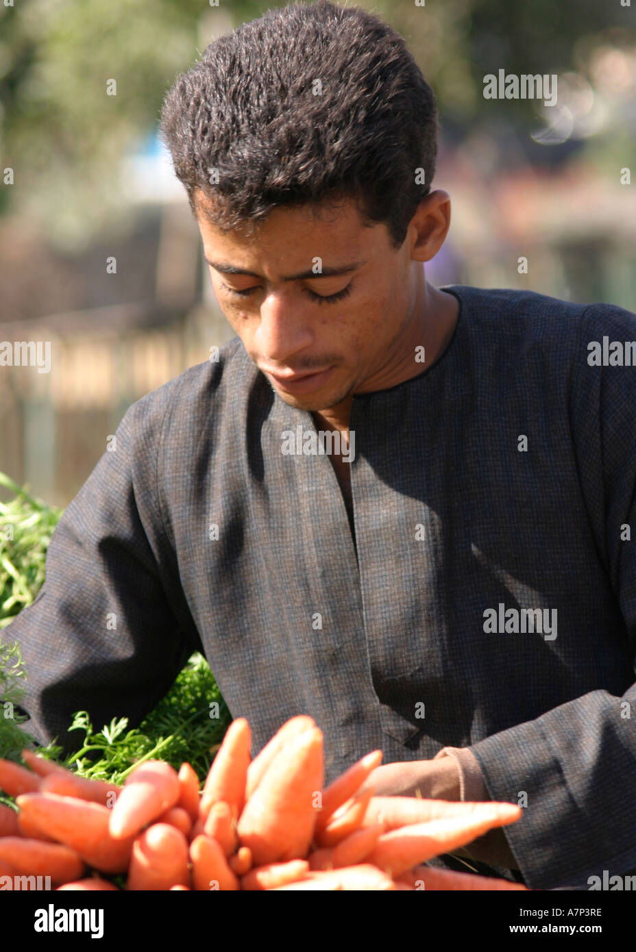 Egyptian man street hi-res stock photography and images - Alamy
