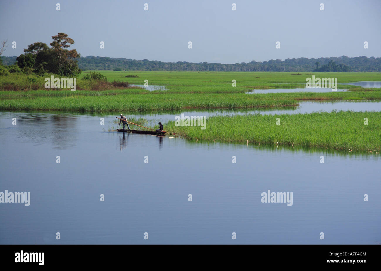SE Cameroon, Africa Stock Photo