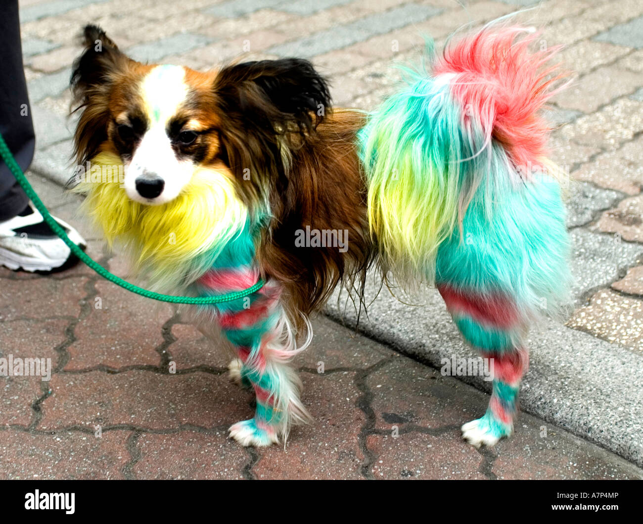 Tokyo Japan Shibuya Teen hipsters Harajuku cosu purei costume outfit