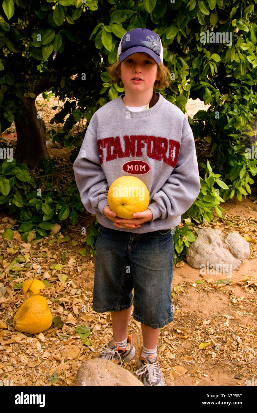 young boy holding pomelo fruit israel Stock Photo