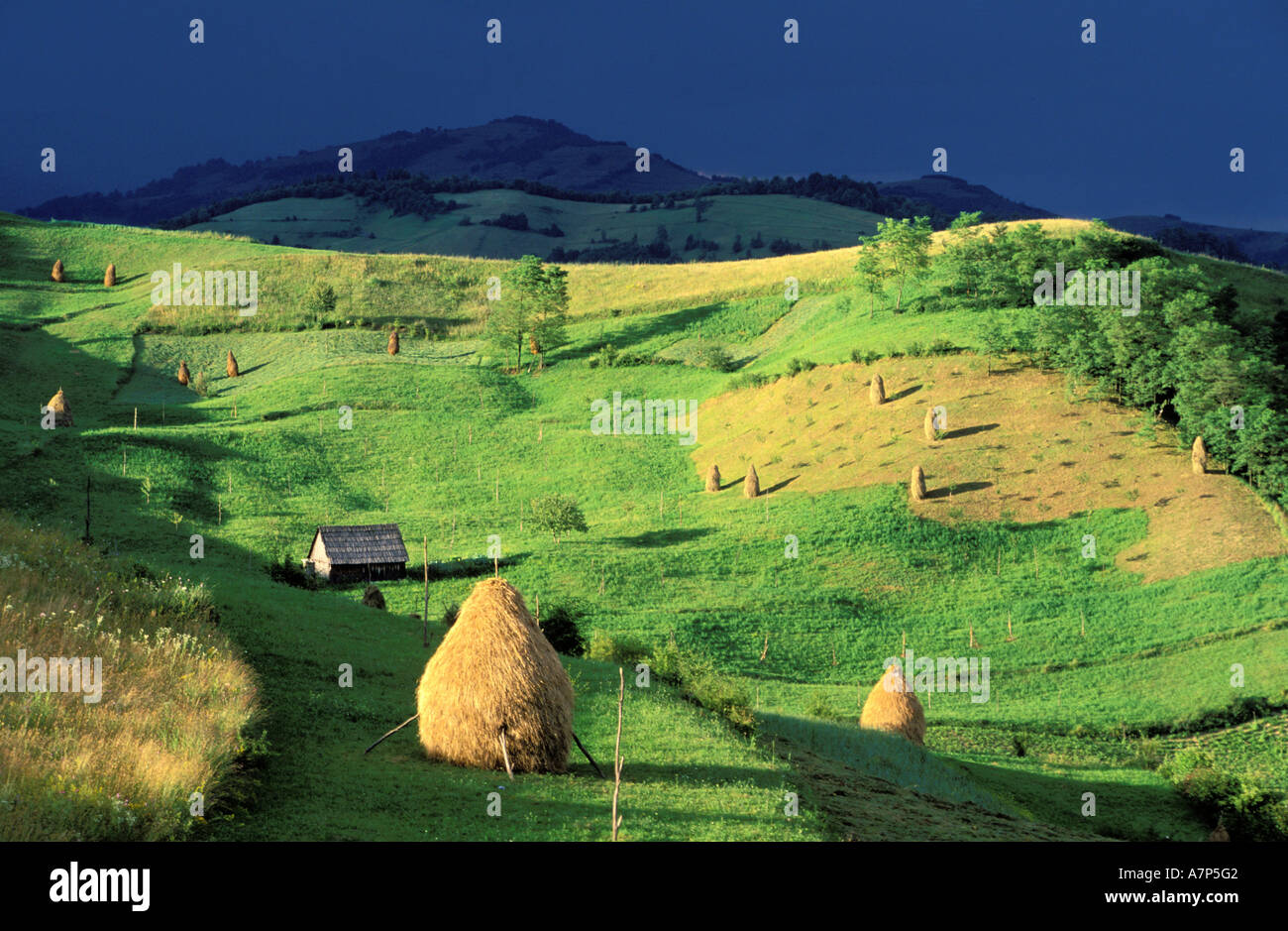Romania, Maramures region, Iza valley next to Bocicoel village Stock Photo
