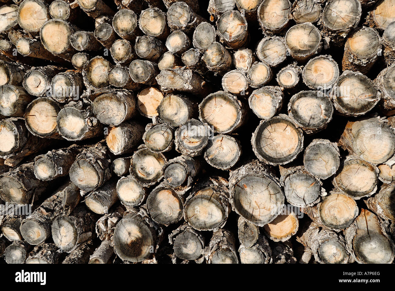 Nachwachsender Rohstoff Holz renewable resource wood Stock Photo
